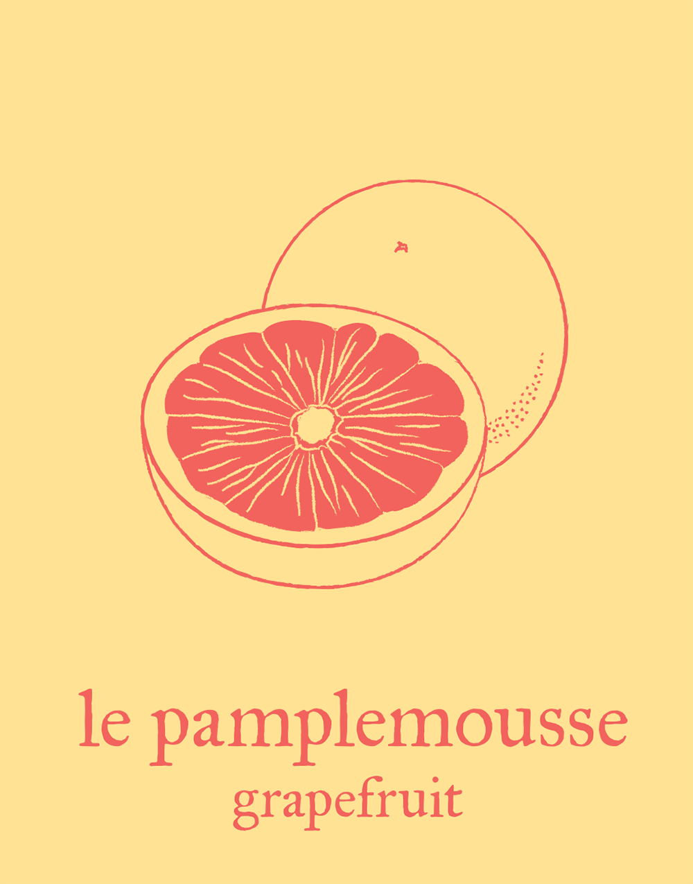 french-flashcard-tshirts/grapefruit.png