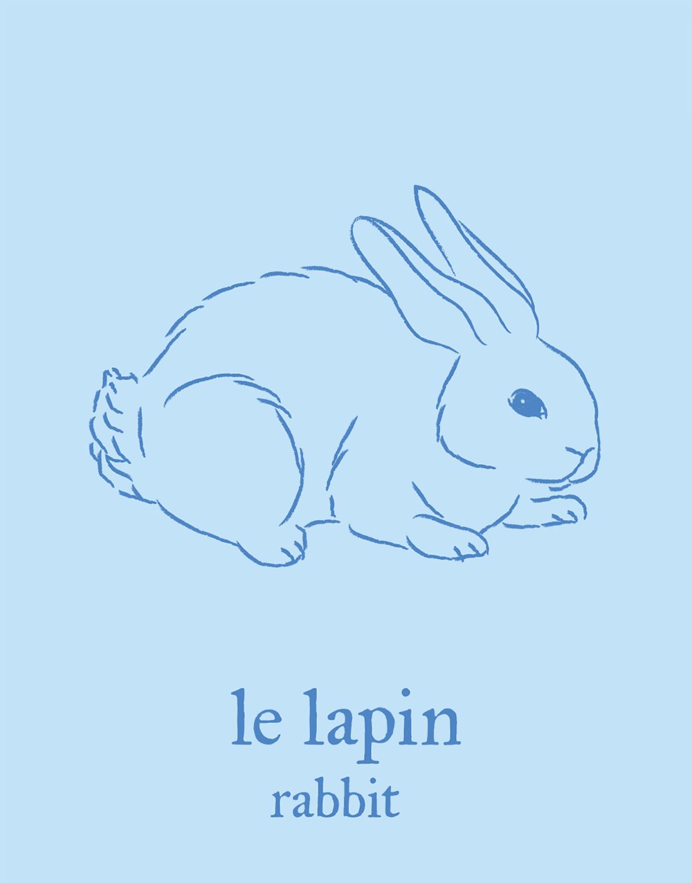 french-flashcard-tshirts/rabbit.png